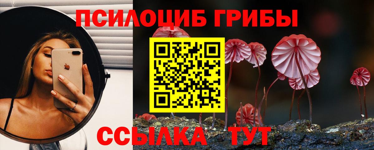 Галлюциногенные грибы ЛСД Кувандык