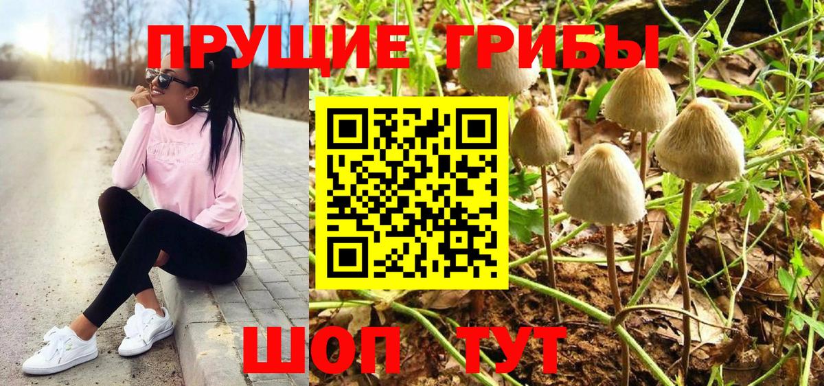 Галлюциногенные грибы Cubensis  Галлюциногенные грибы Cubensis  Кувандык  где купить наркотик  Вход с VPN 